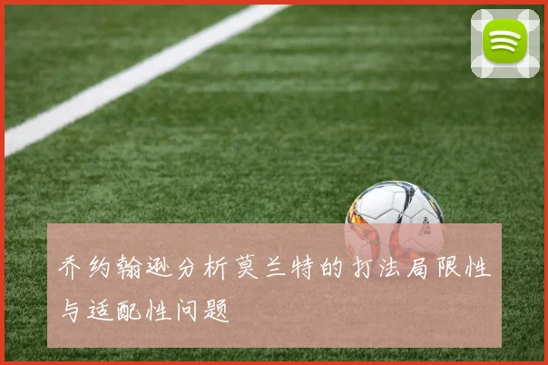 乔约翰逊分析莫兰特的打法局限性与适配性问题